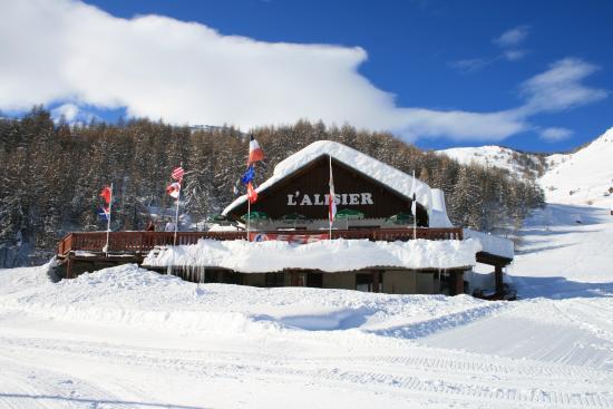 L'alisier