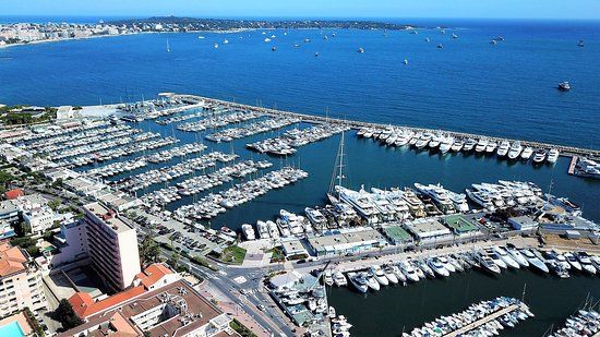 il Porto Camille Rayon