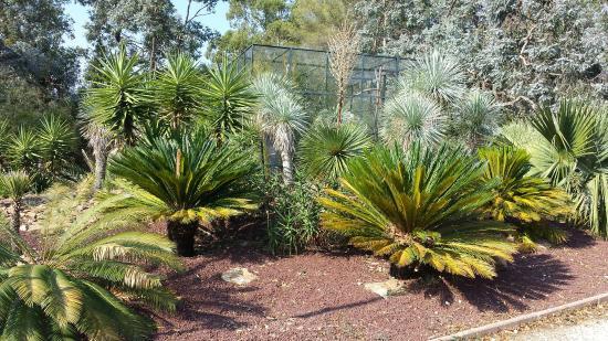 Jardin zoologique tropical