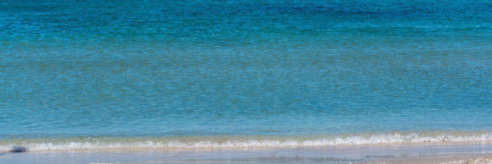Plage de l'Almanarre